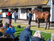 NH051025-36 - Will Carver